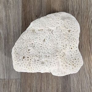 Natural White‎ Coral Rock Piece Beach Coastal Nautical Decor Seashell